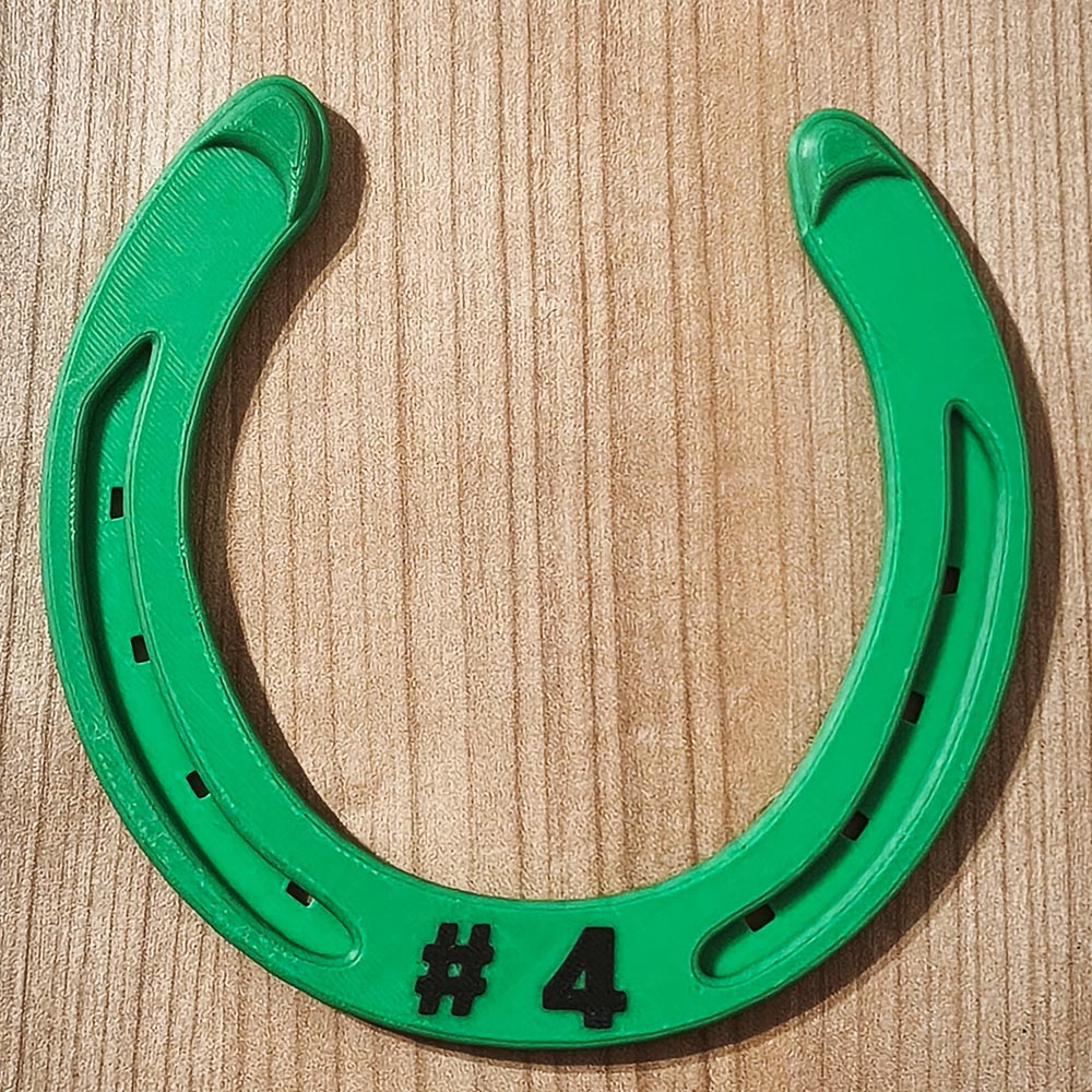 #4 - Pasaga 